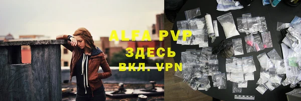 apvp Туринск
