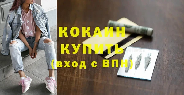 apvp Туринск