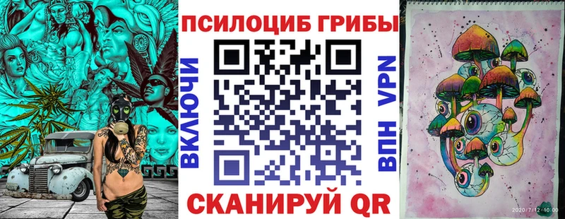 Купить закладки  Называевск  Псилоцибиновые грибы прущие грибы 